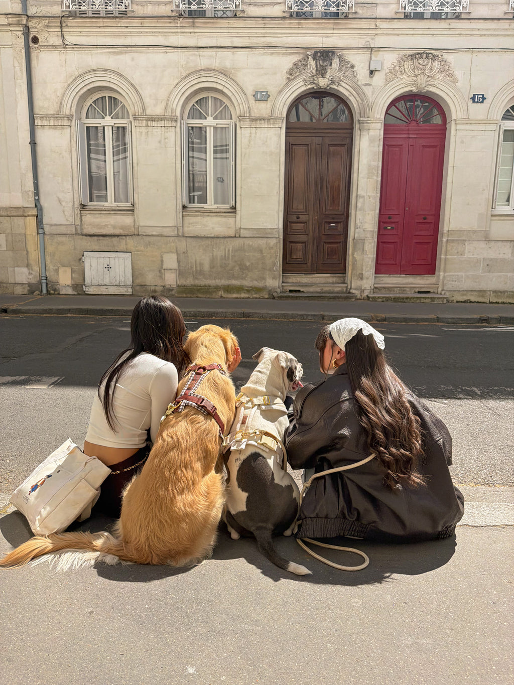 Harnais Vichy beige/jaune beurre