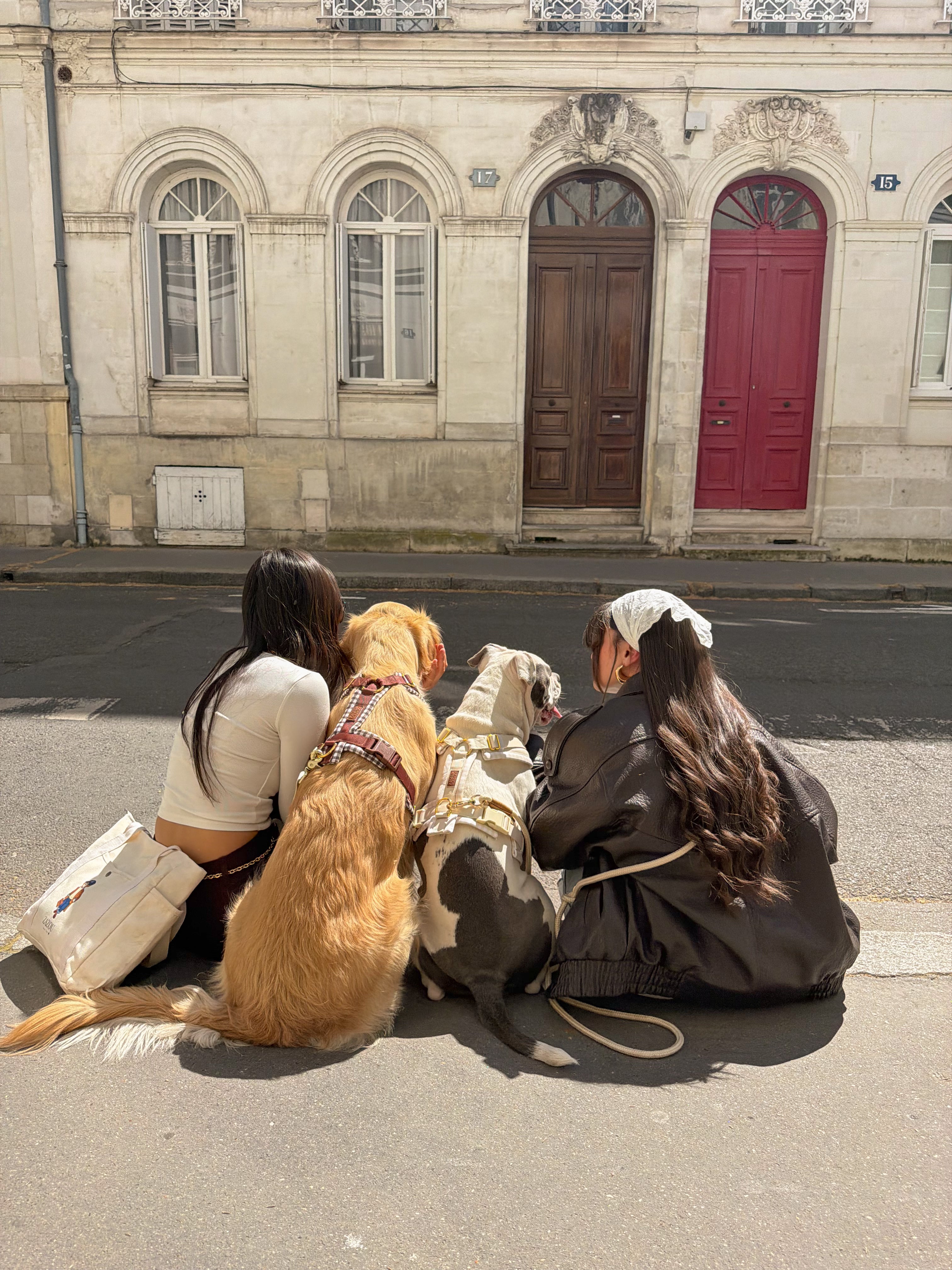 Harnais Vichy beige/jaune beurre