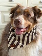 Bandana rayé marron et jaune beurre