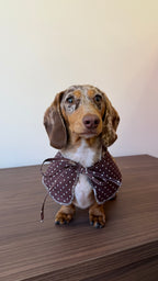 Collerette polka dot