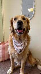 Bandana Lettre d’amour 