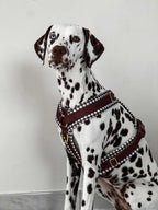 Harnais Vichy marron