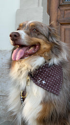 Bandana polka dot marron et blanc