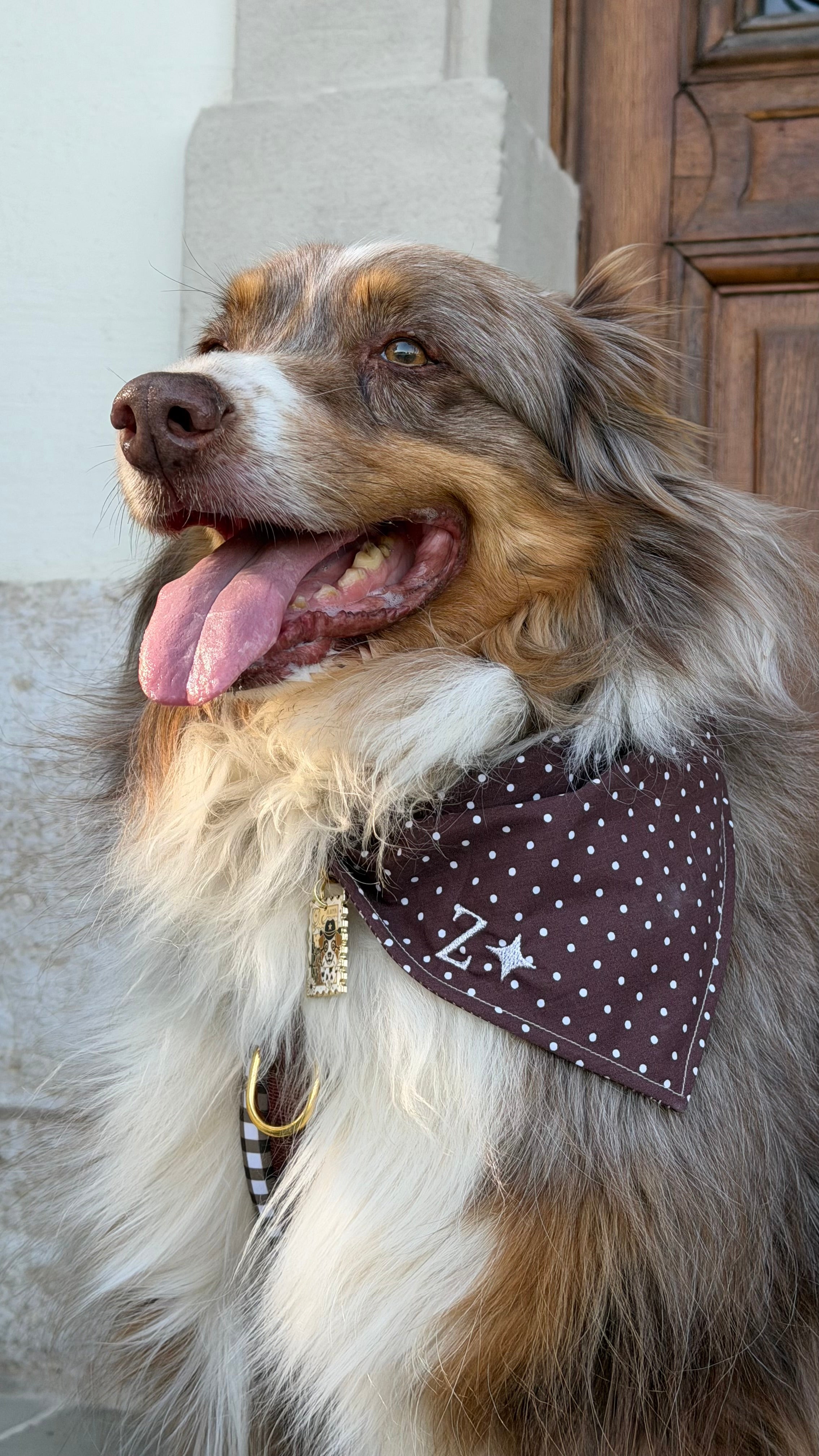 Bandana polka dot marron et blanc