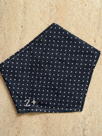 Bandana à pois bleu et blanc
